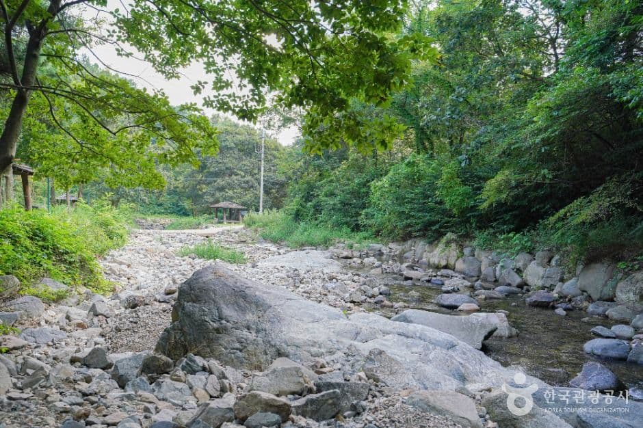 한재골 계곡 사진 3