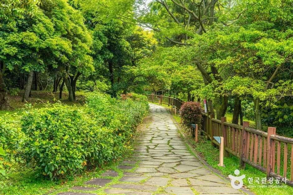 서귀포칠십리시공원 사진 1