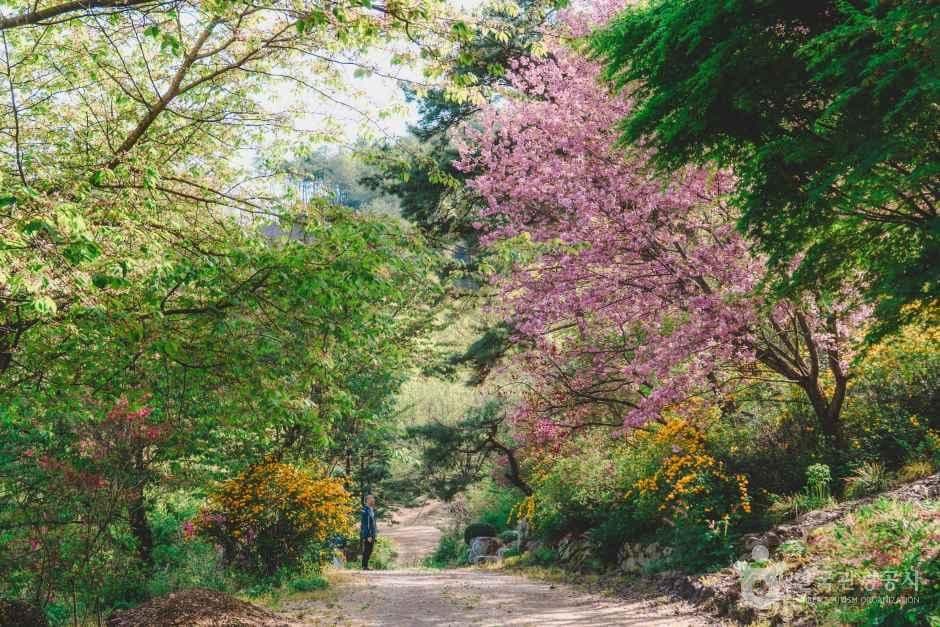 완주 화산꽃동산 사진 1