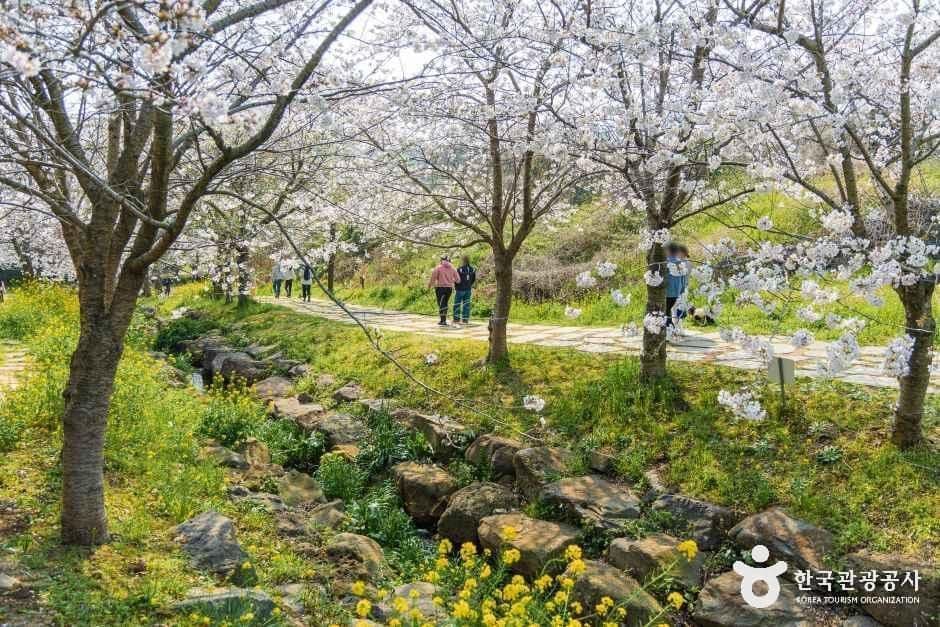 대왕수천예래생태공원 사진 4