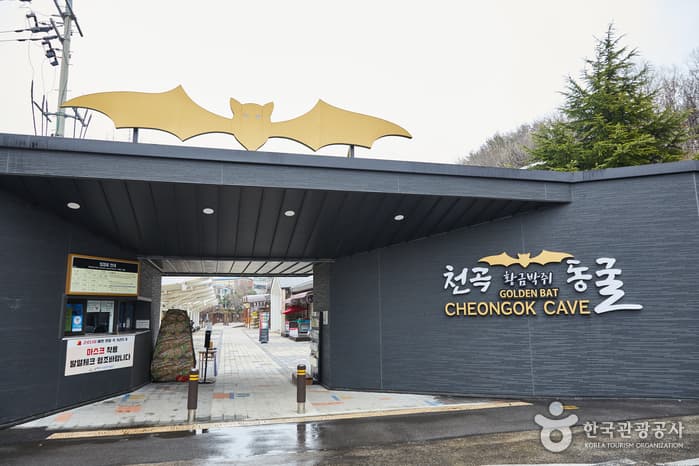 천곡황금박쥐동굴