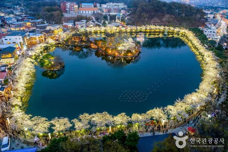 교동 연화지 사진 1