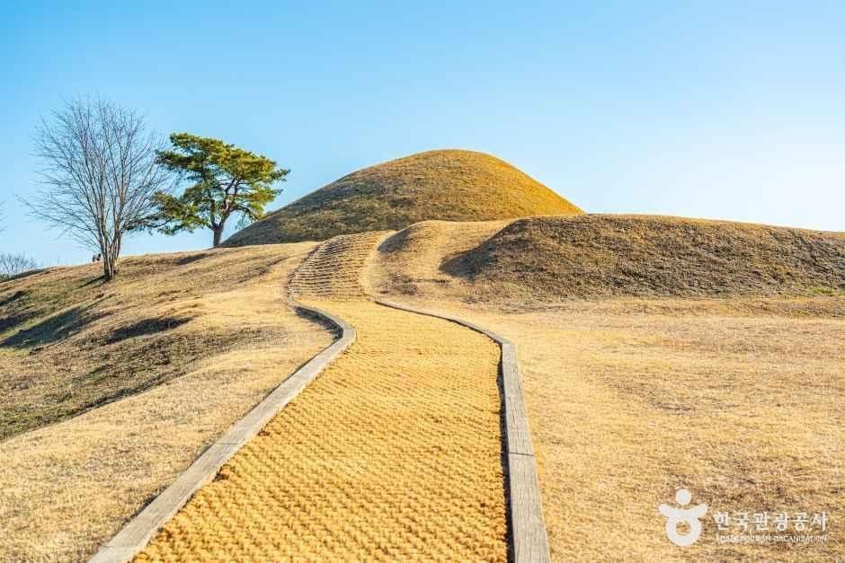 함안 말이산 고분군 사진 4
