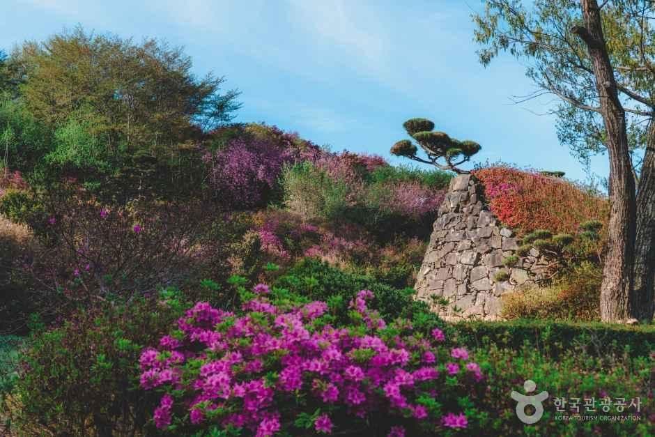 완주 화산꽃동산 사진 2