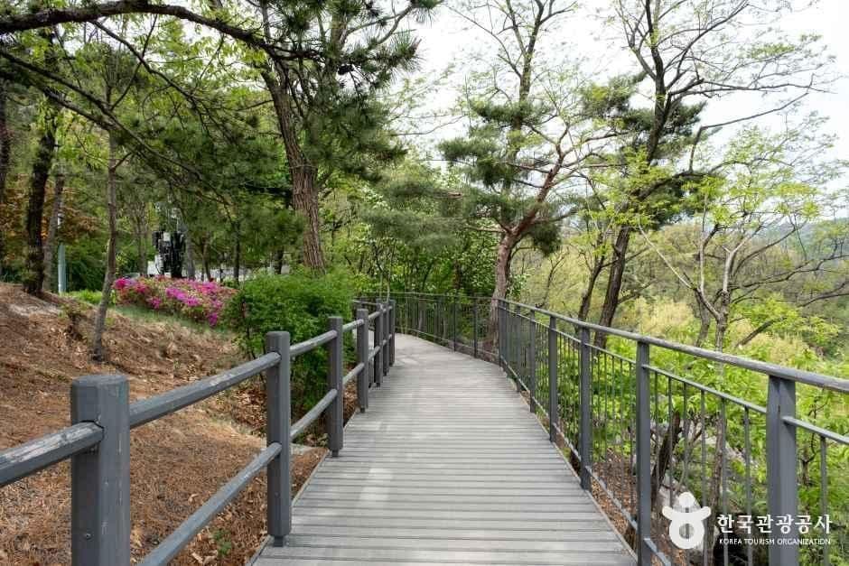 인왕산 무무대 전망대 사진 6