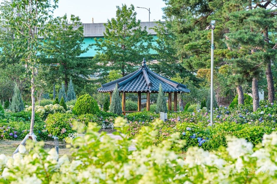구리한강시민공원(코스모스공원) 사진 1