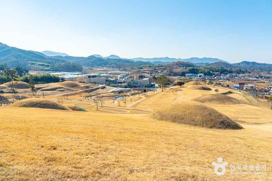 함안 말이산 고분군 사진 5