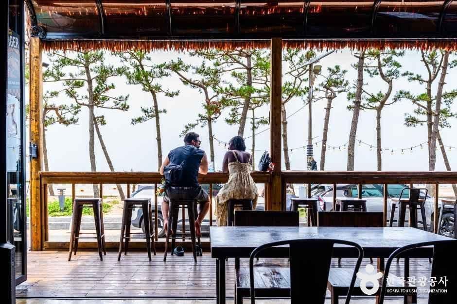 엠엘피서프 사진 6
