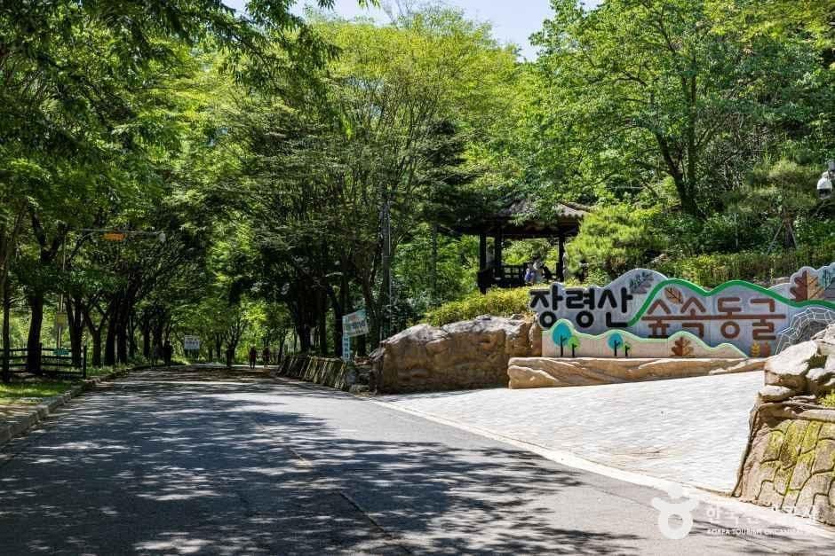 장령산자연휴양림 사진 1