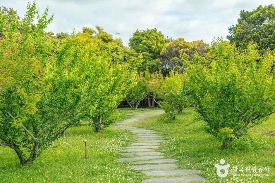 서귀포칠십리시공원 사진 3