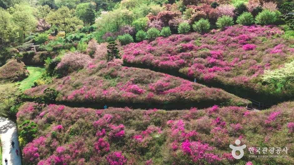 완주 화산꽃동산 사진 6
