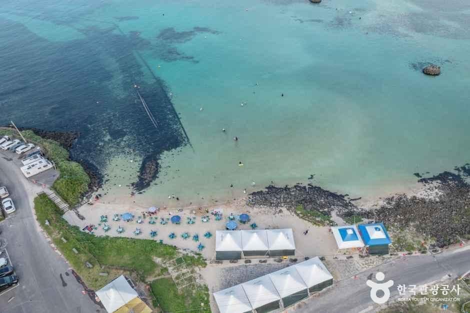 제주신흥해수욕장 사진 4