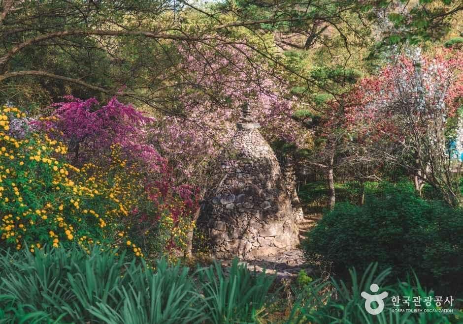완주 화산꽃동산 사진 7