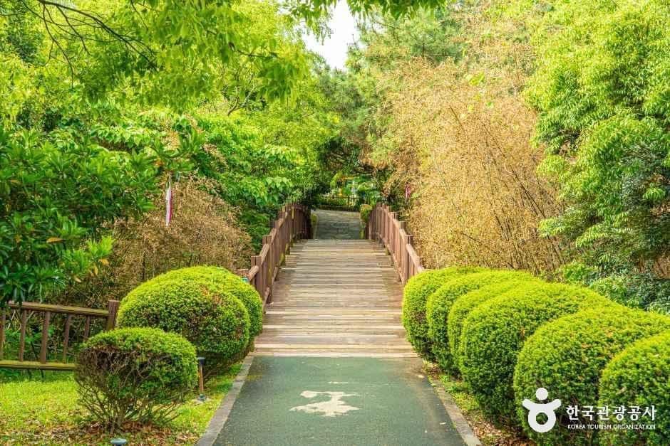 서귀포칠십리시공원 사진 6
