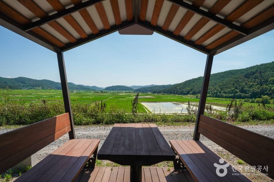 우포출렁다리 사진 1