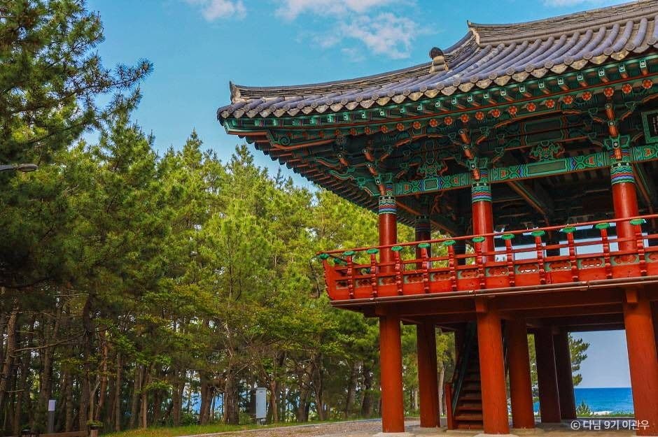월송정 사진 4