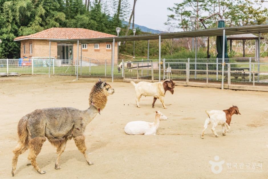 익산 액션하우스 사진 5