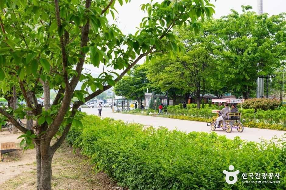 구리한강시민공원(코스모스공원) 사진 5
