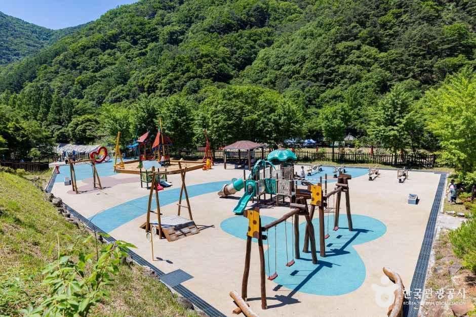 장령산자연휴양림 사진 8