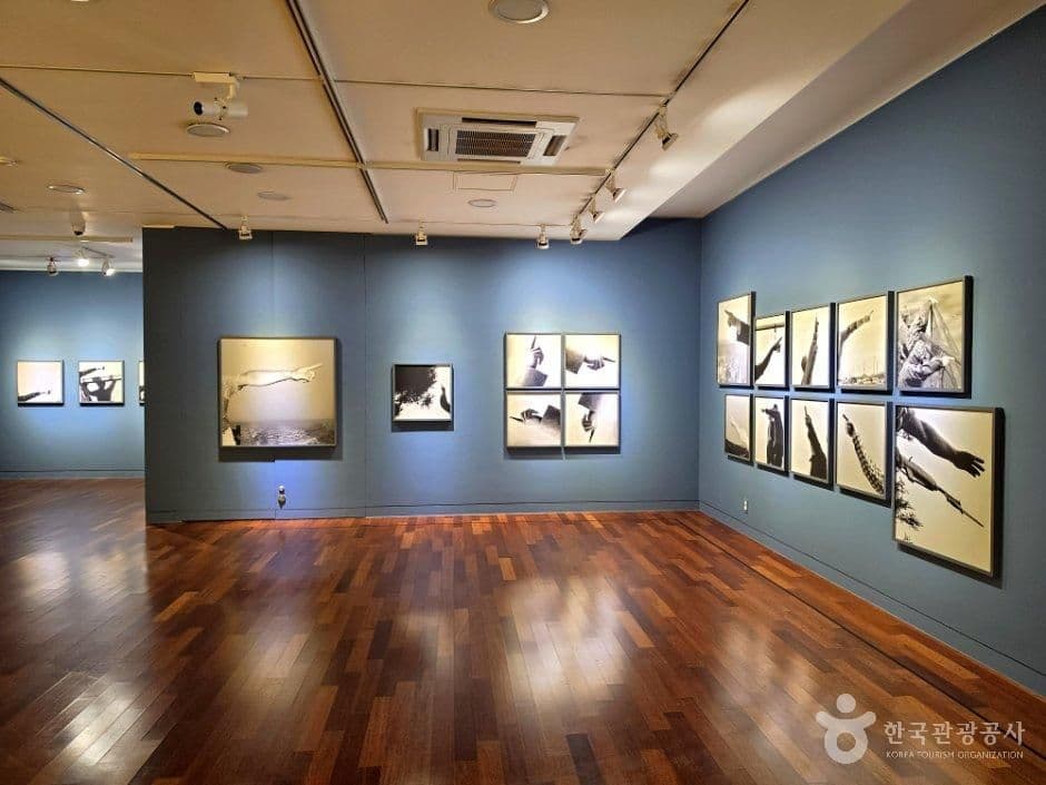 동강사진박물관 사진 4