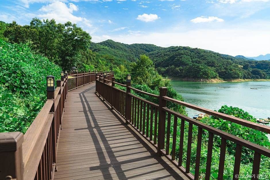 제천 옥순봉 출렁다리 사진 4