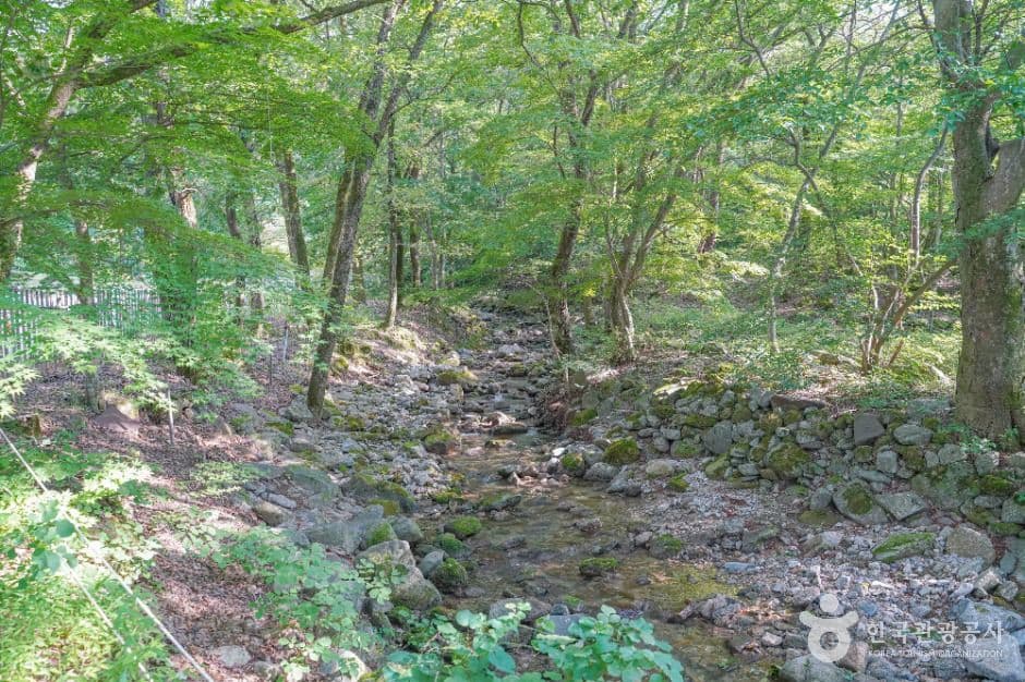 용흥사계곡 사진 2