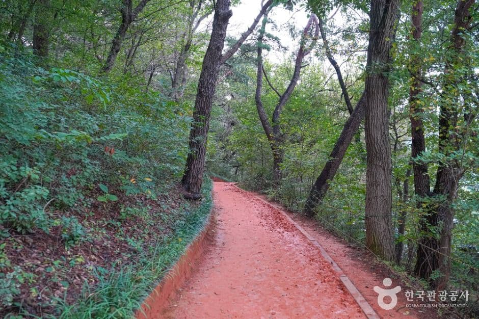 땅뫼산 사진 4