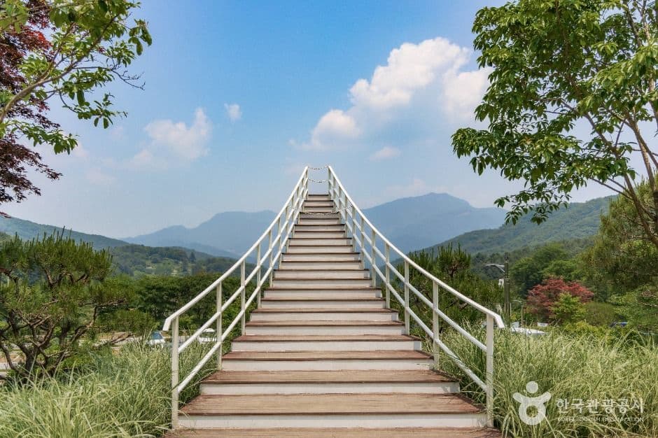 물맑음수목원 사진 4