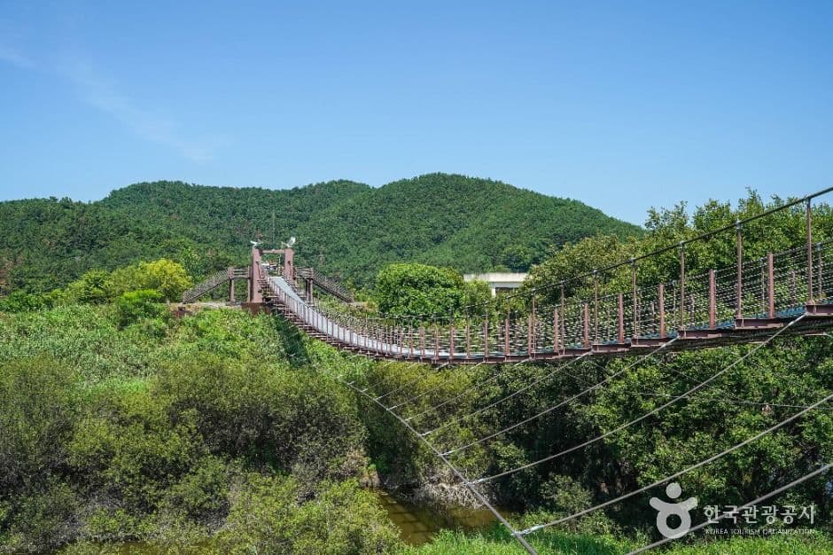 우포출렁다리 사진 5