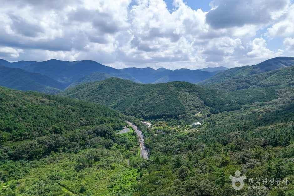 성주산일출전망대 사진 1