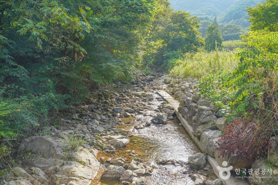 용흥사계곡 사진 5