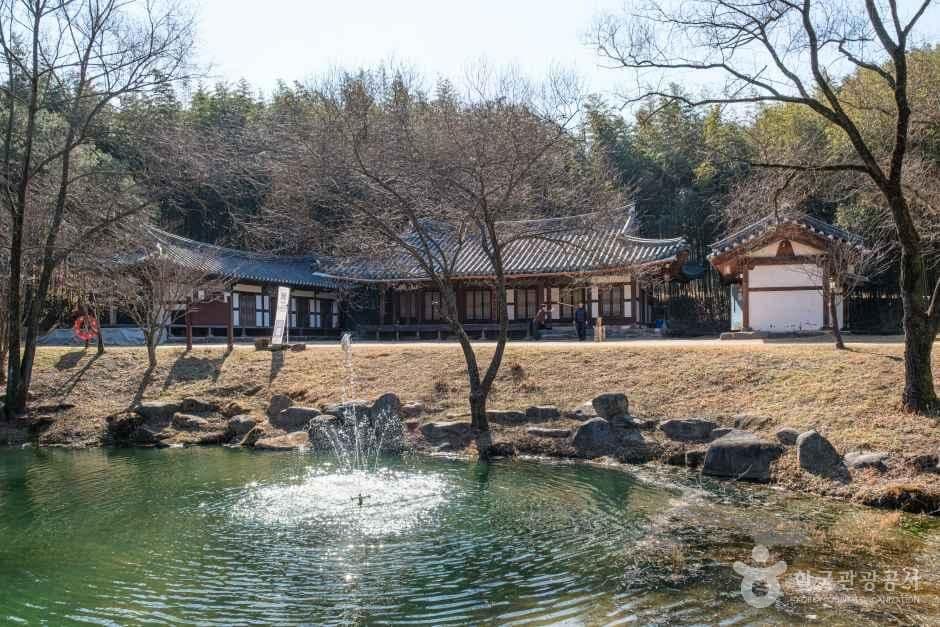 죽녹원 사진 1