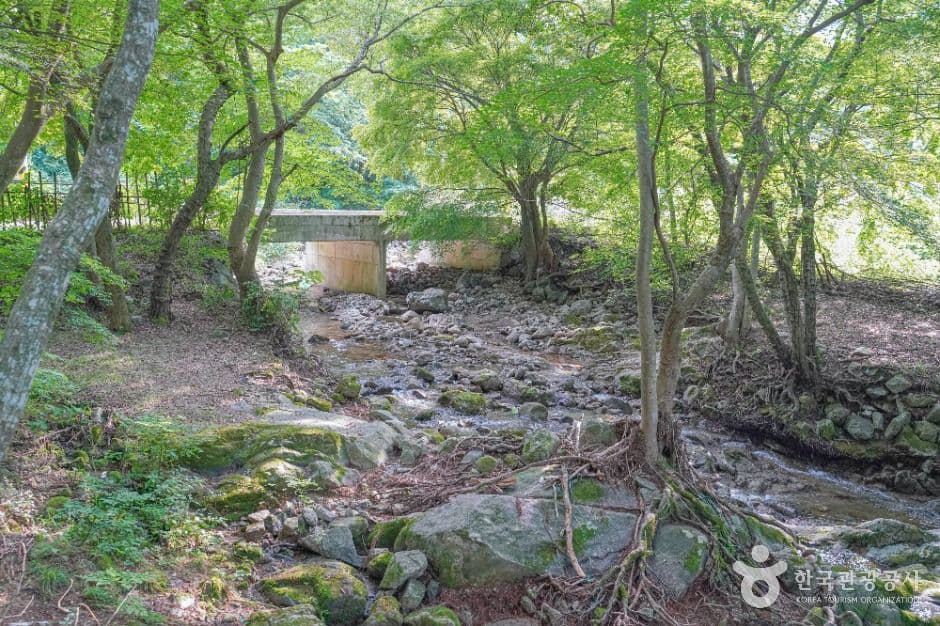 용흥사계곡 사진 6