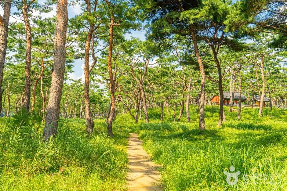 공주 고마나루 사진 1