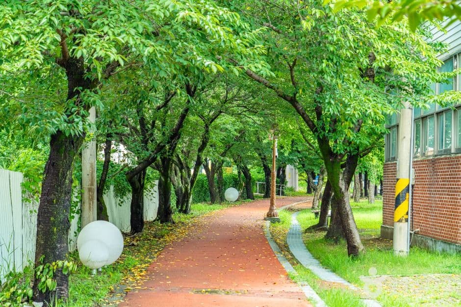 서시천체육공원 사진 1