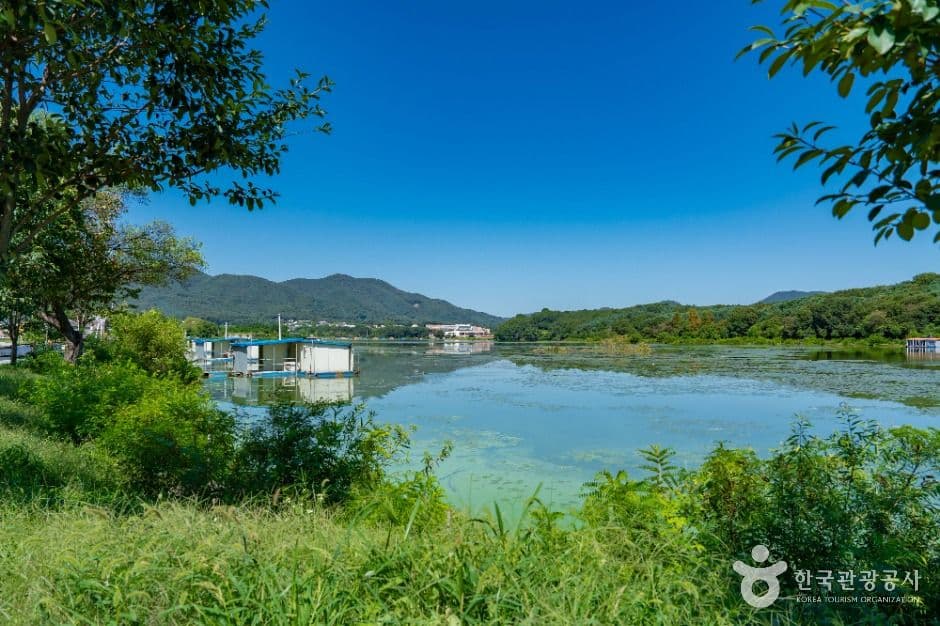 용담저수지 사진 5