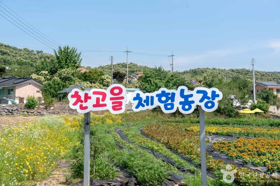 꽃이 머무는 자리 사진 4