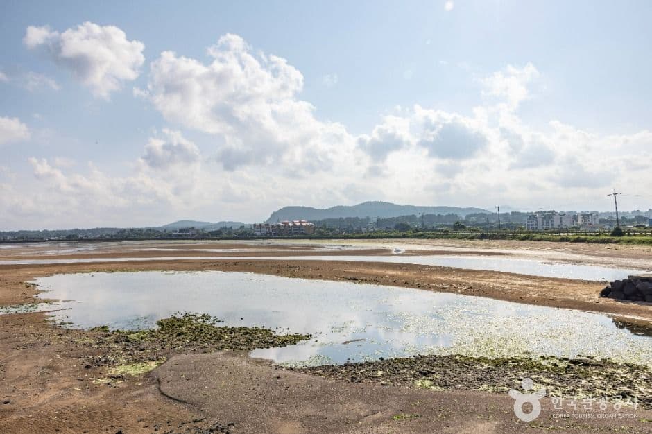 종달리해변 사진 3