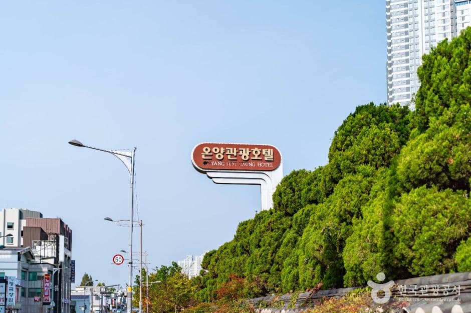 온양온천지구 사진 2