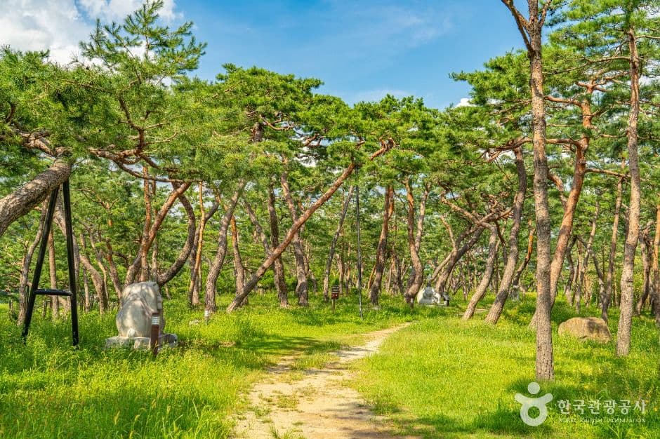 공주 고마나루 사진 3
