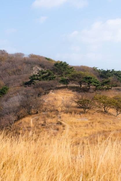 굴업도 사진 2