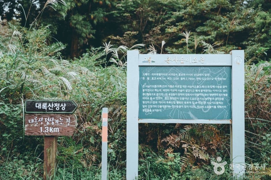 큰사슴이오름 사진 1
