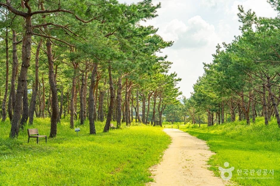 공주 고마나루 사진 4