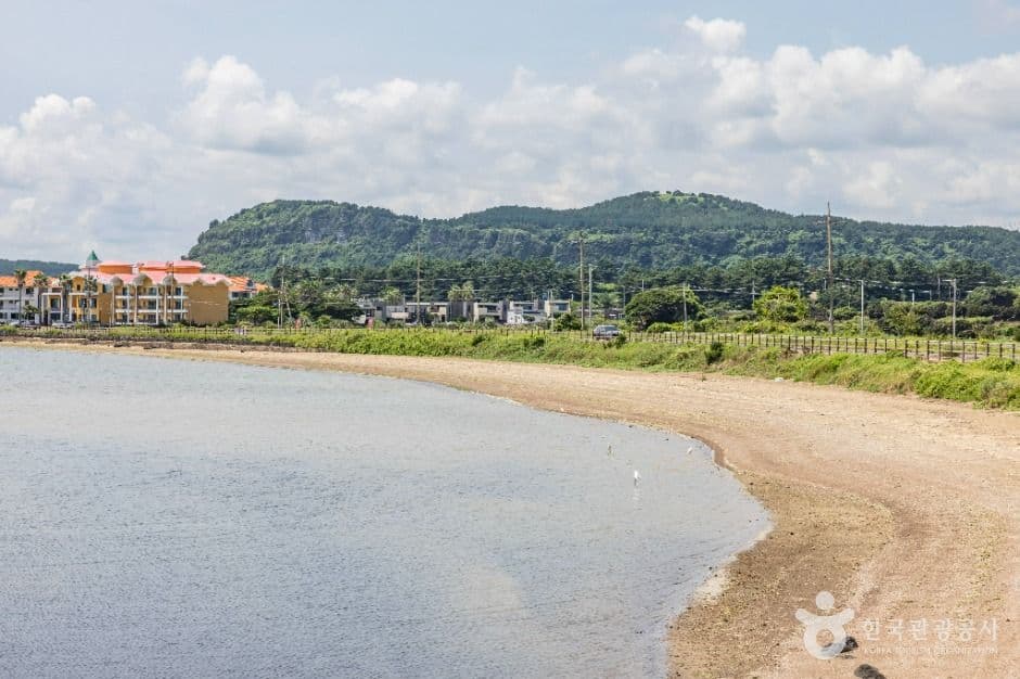 종달리해변 사진 5