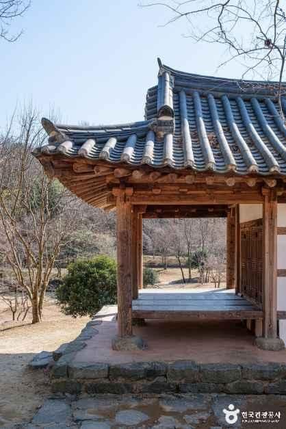 죽녹원 사진 4