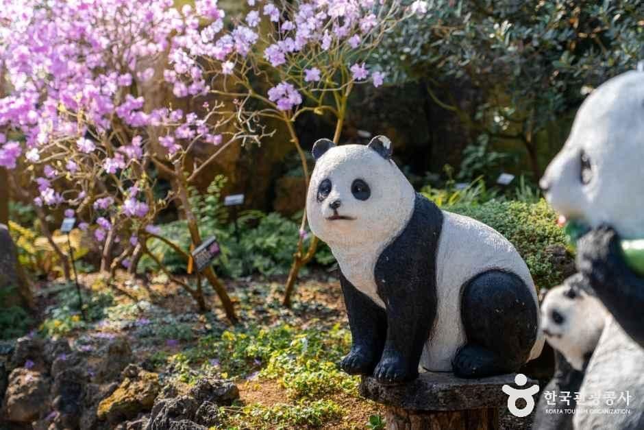 화성시 우리꽃식물원 사진 7