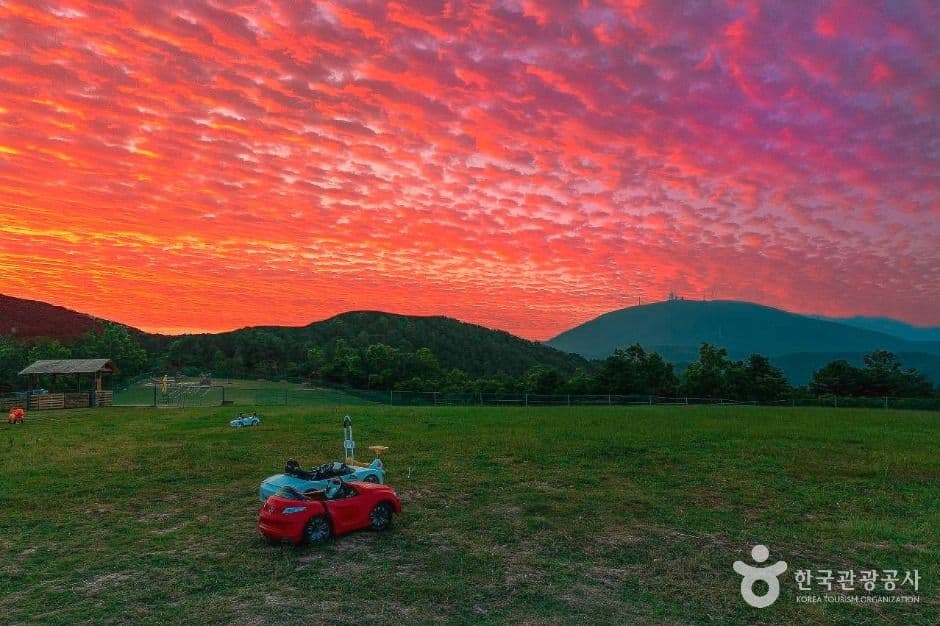 울산양떼목장 사진 6