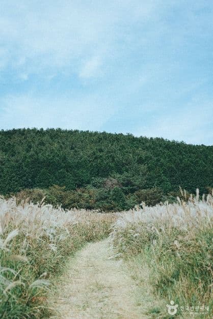 큰사슴이오름 사진 4