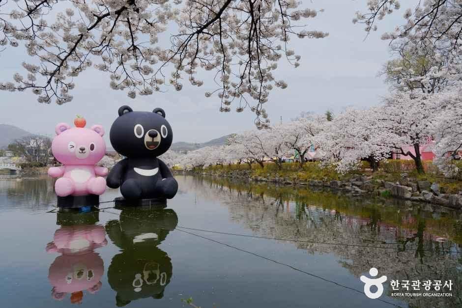 교동 연화지