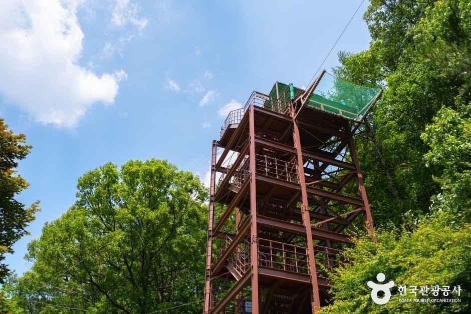 좌구산 자연휴양림 사진 5